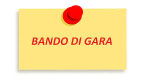Avviso pubblico di gara da esperire mediante asta pubblica per l'alienazione delle azioni ordinarie di EGEA s.p.a. di proprietà del comune di Cerretto Langhe